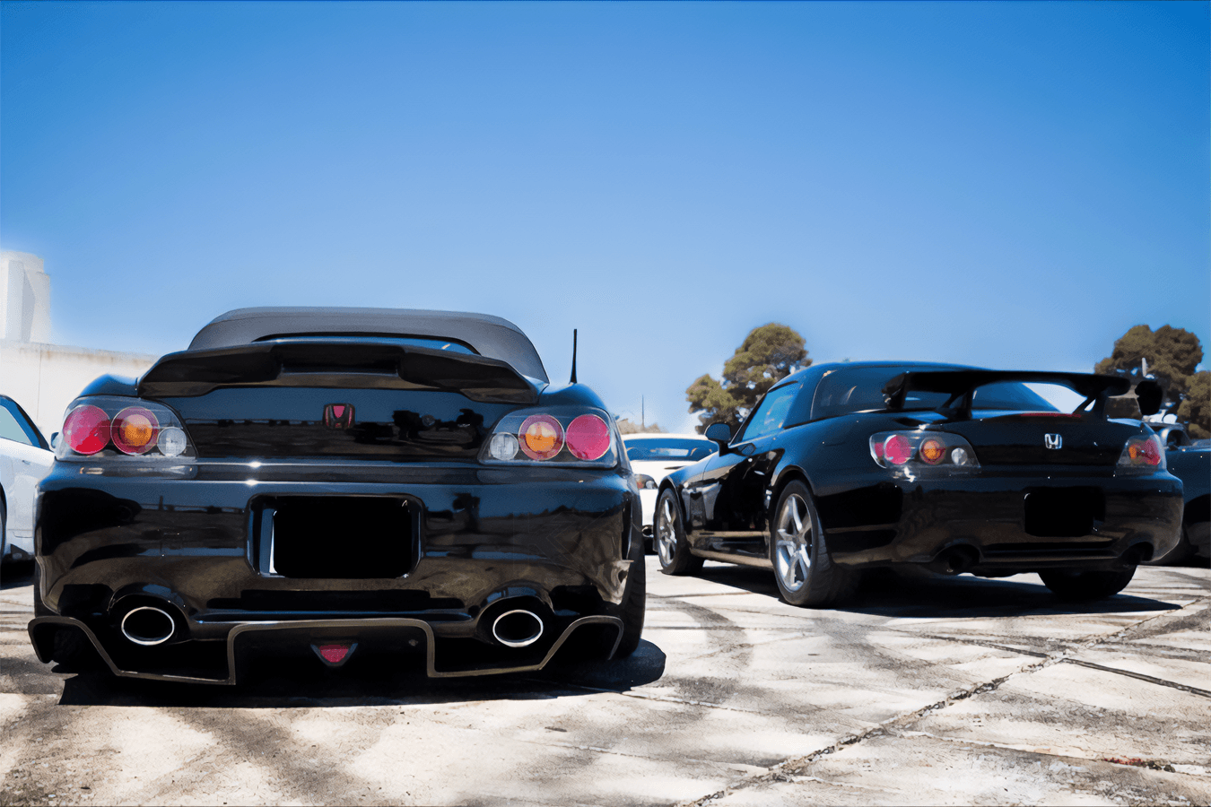 Honda S2000 AP1/AP2 MaxStyle Rear Diffuser (1999 - 2009)